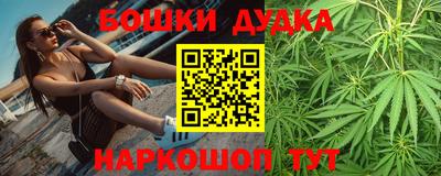 ECSTASY Новозыбков