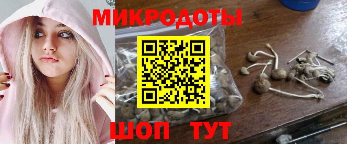 Галлюциногенные грибы Psilocybine cubensis  Псилоцибиновые грибы Magic Shrooms  Черкесск  Вход с VPN 