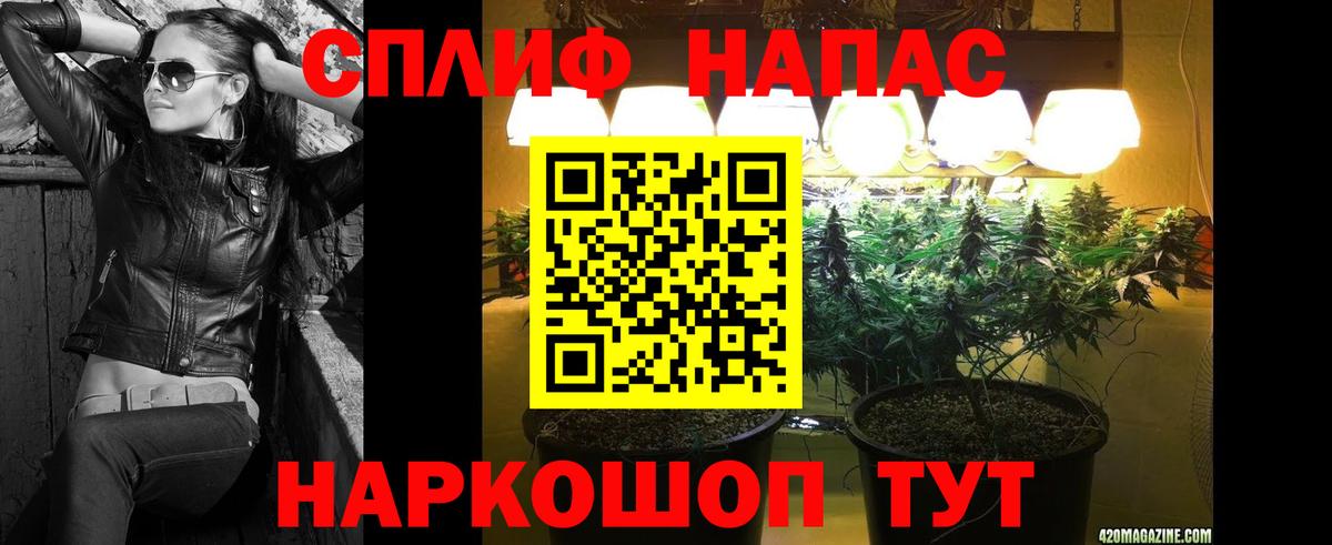 Каннабис тримм  Вход с VPN  Черкесск  Бошки марихуана сатива 